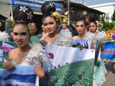 ร่วมขบวนแห่งานมะขามหวานนครบาลเพชรบูรณ์ ปี 2558